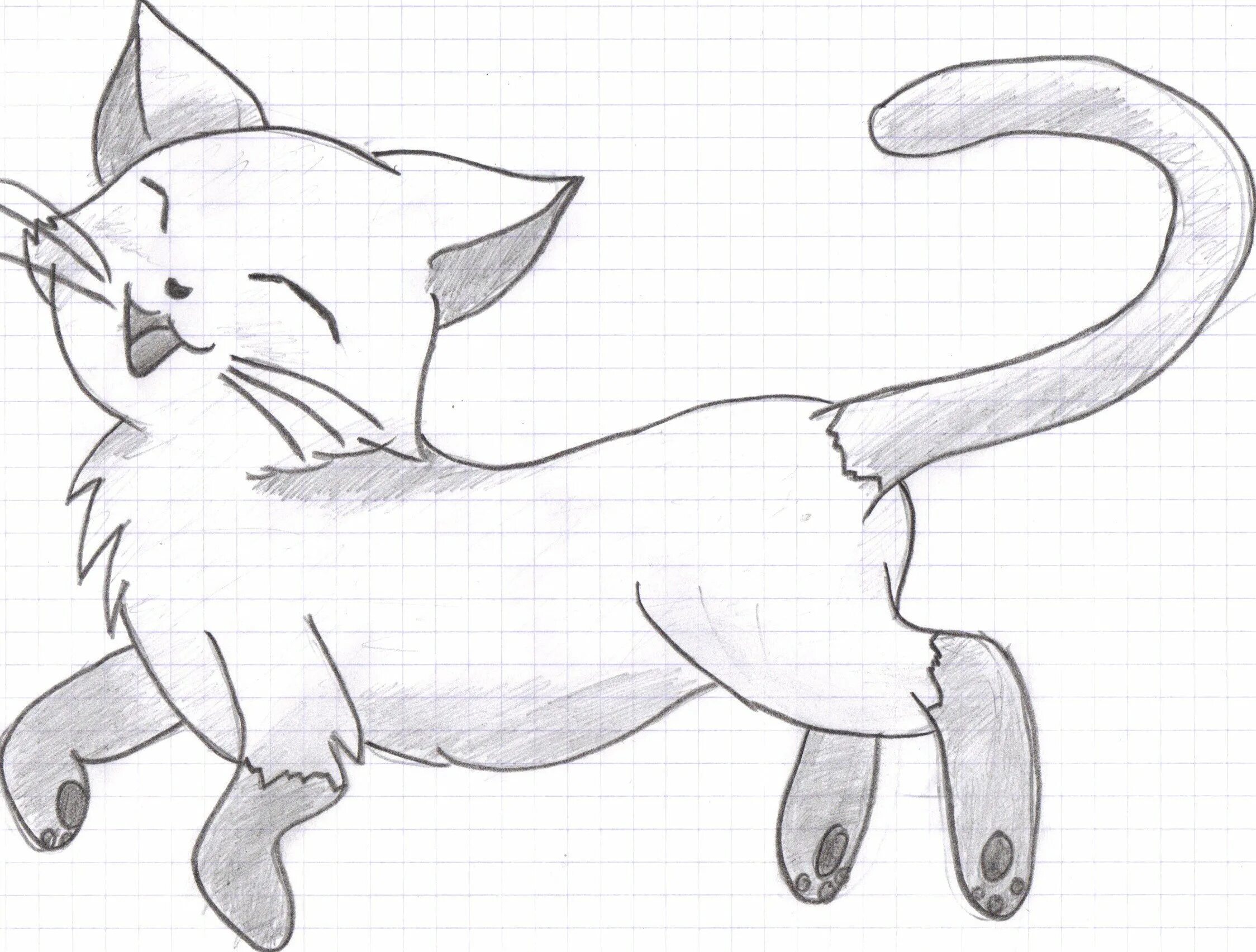 Рисунки для срисовки лёгкие. Рисунок кошки для срисовки. Легкие рисунки для срисовки. Картинки для срисовки легкие. Срисовки животных легко для начинающих