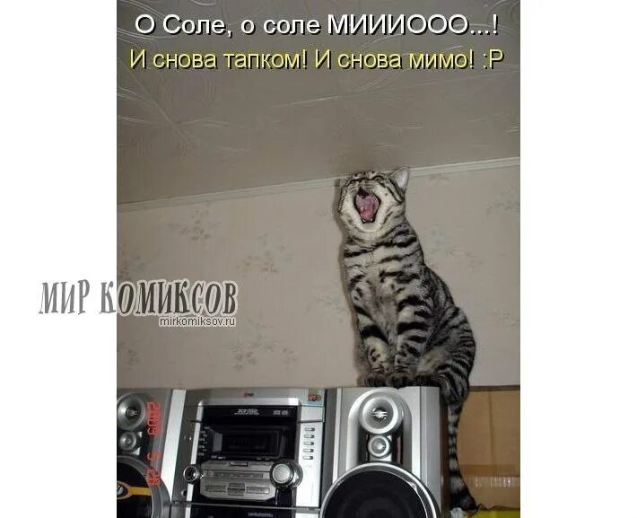 Я пошла спать. Опять мимо в лоб. Опять мимо юмор. О соле о соле мио и снова тапком. Мимо кассы картинка.