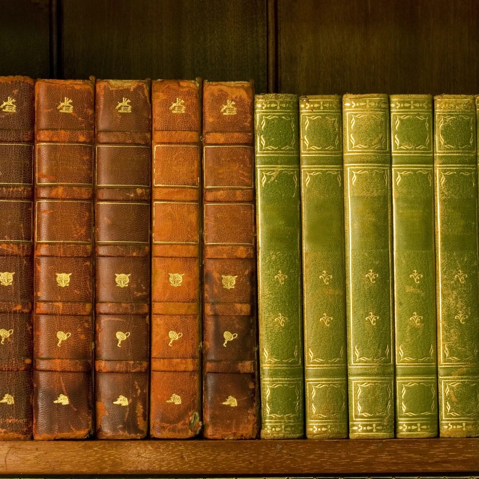 Стоящие книги картинки. Стоящие книги картинки