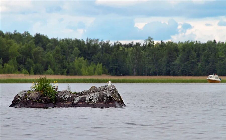 Село островок. Тойда чигла. Островок сысерть. Островок. Поселок красный яр.