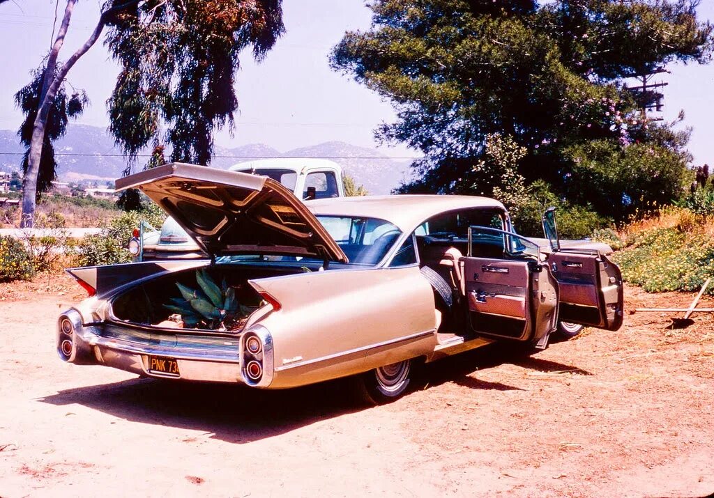 20 середина. Cadillac 1950-1960. Машины США 1960-Х. Авто 1950х американские. Машины в Америке 1960.