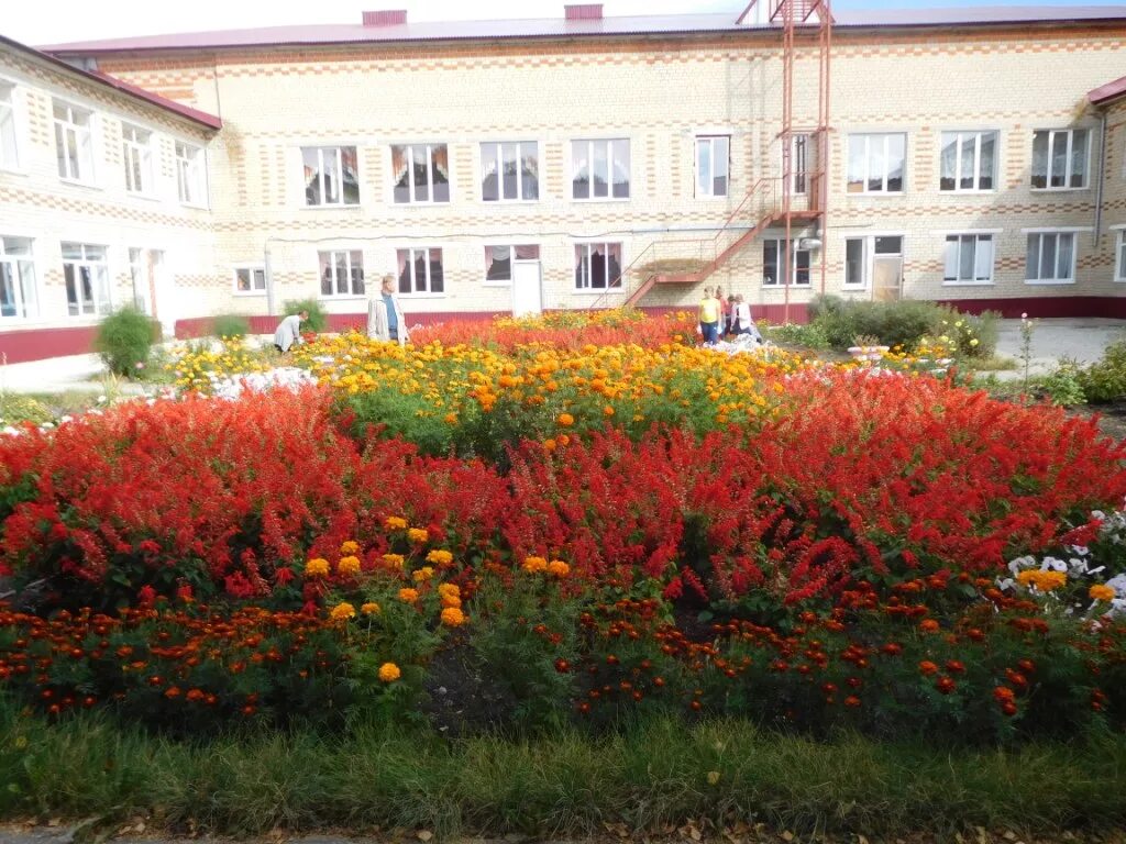 Украсить крыльцо школы к 1 сентября. 1 школа дворе. 1 школа дворе. Школа и школьный двор. Украсить двор школы к 1 сентября.