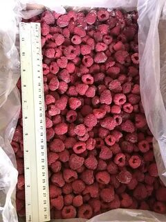 Малина оптом