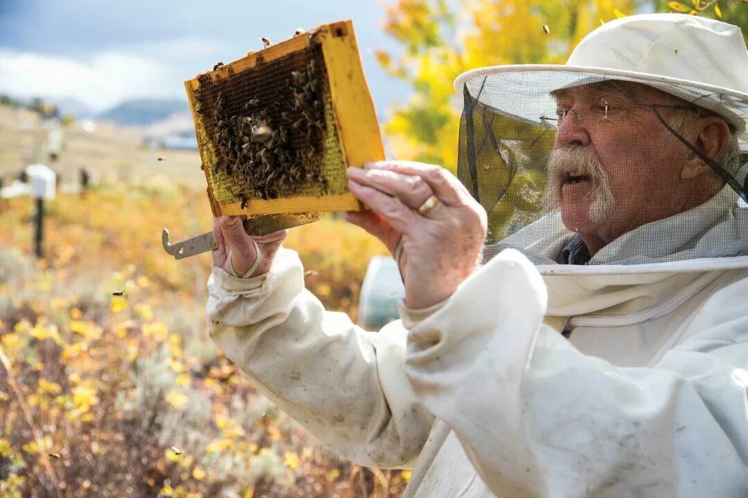 Beginner beekeepers. Beekeeper studio. Форма пчеловода. Medieval beekeepers. The beekeeper movie.