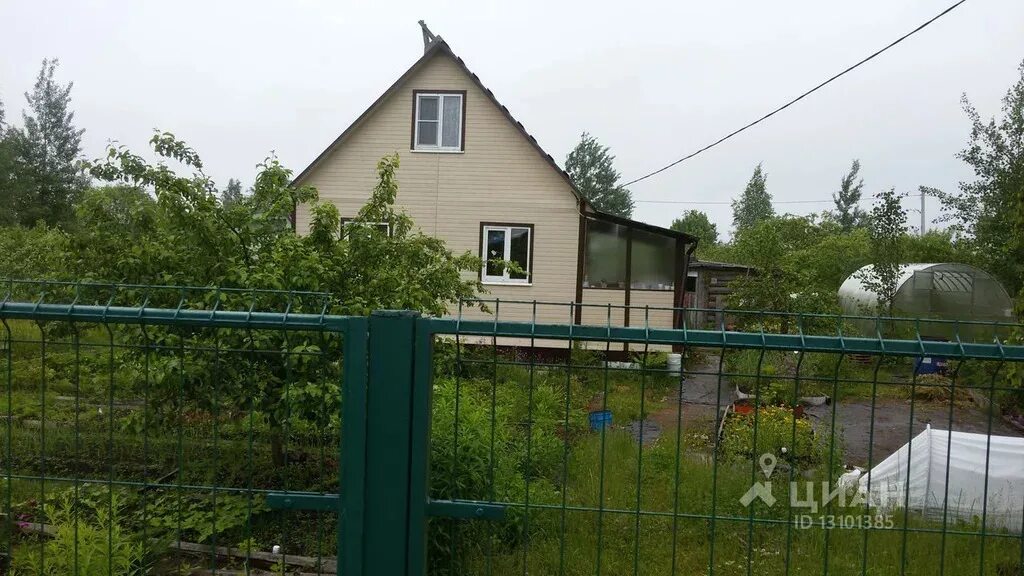 Александровское новгородская область. Александровское новгородская область. Деревня лешино московская область. Александровское новгородская область. Александровское новгородская область.