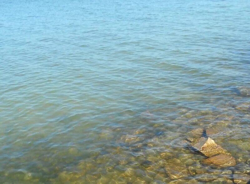 Скачать обои песок, море, фото, следы на песке, Азовское море, раздел пейзажи в 