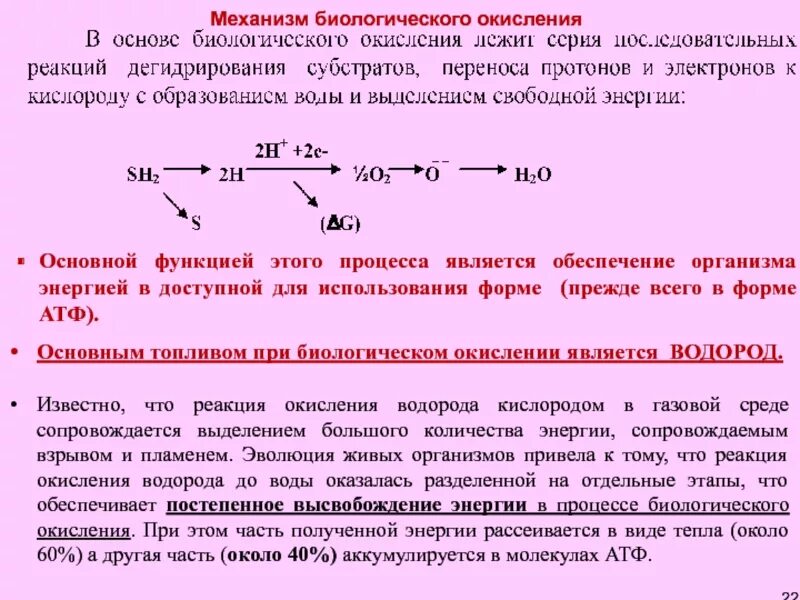 Процесс реакция окисления. Реакции биологического окисления. роль процессов окисления. механизм реакции окисления. роль над в процессе биологического окисления.