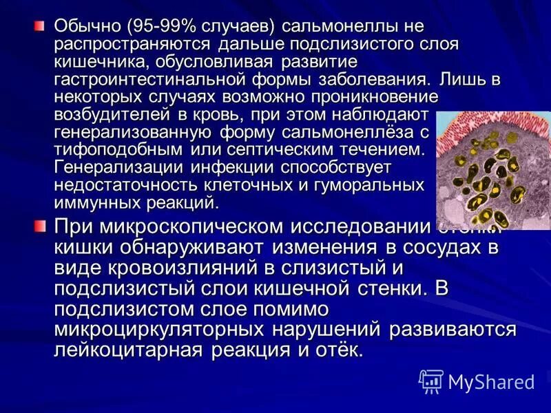 Где обычно происходит цикл сальмонелл. Сальмонеллез жизненный цикл. Цикл жизнедеятельности сальмонелл. Цикл жизнедеятельности сальмонелл. Где обычно происходит цикл сальмонелл.