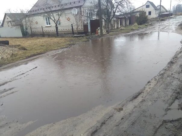 Стародуб грязи. Водоканал Стародуб Брянская область. Лужи Стародуб храм. Грибок Стародуб