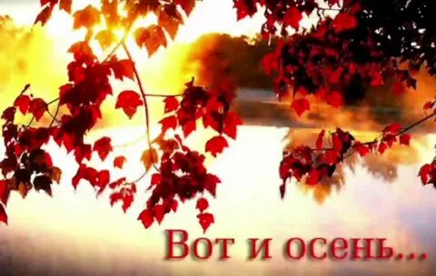 Вот и осень к нам пришла
