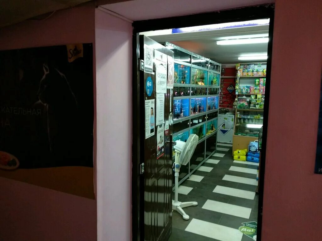 зоомагазин аксай. оптимист аксай бассейн. ленина 148 черкесск. интернет аксай. сулпак магазин аксай.