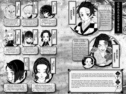 Demons slayer manga
