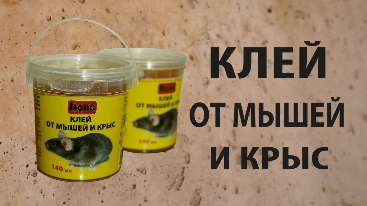 Клей для мышей купить. Клей для мышей. Клей для мышей и крыс. Клей для крыс мышей и крыс.