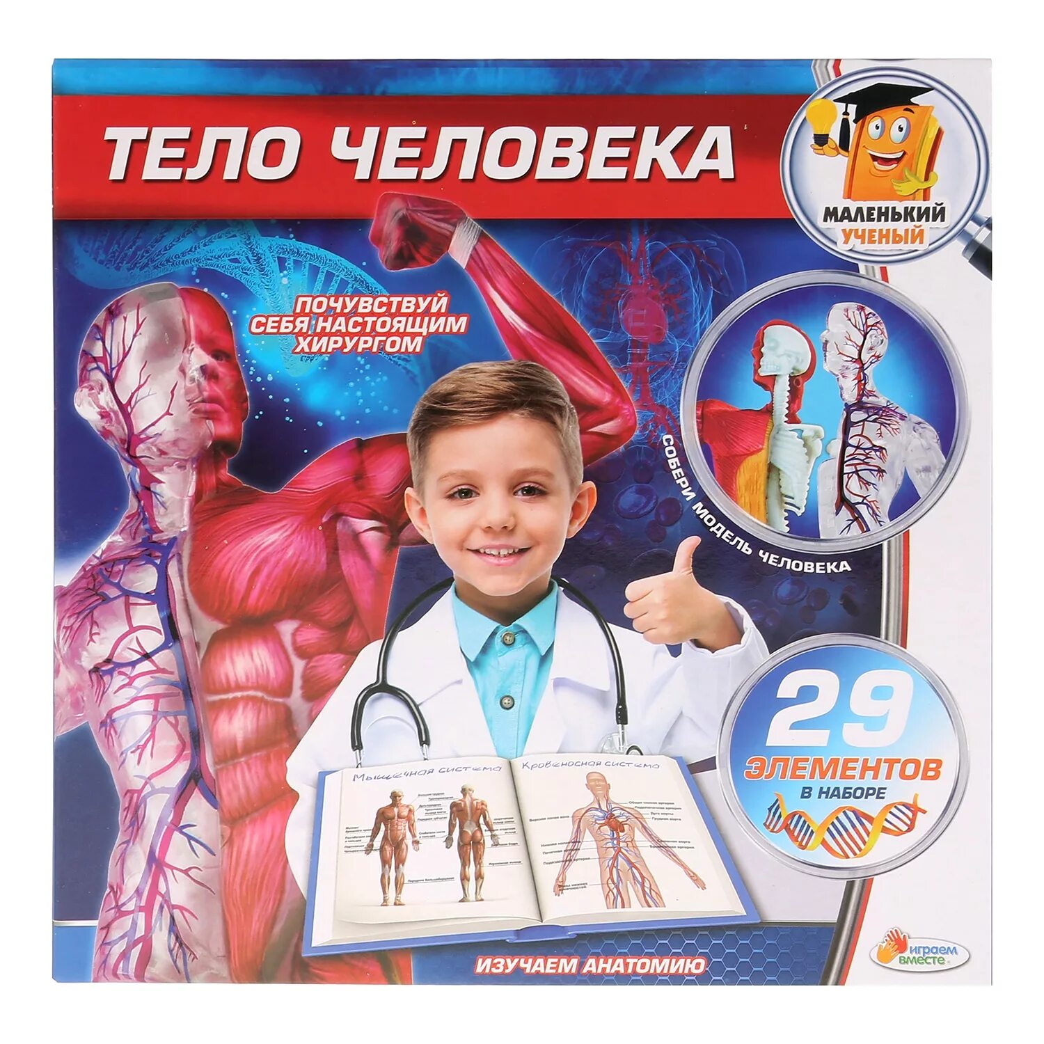 Играем вместе собери всех