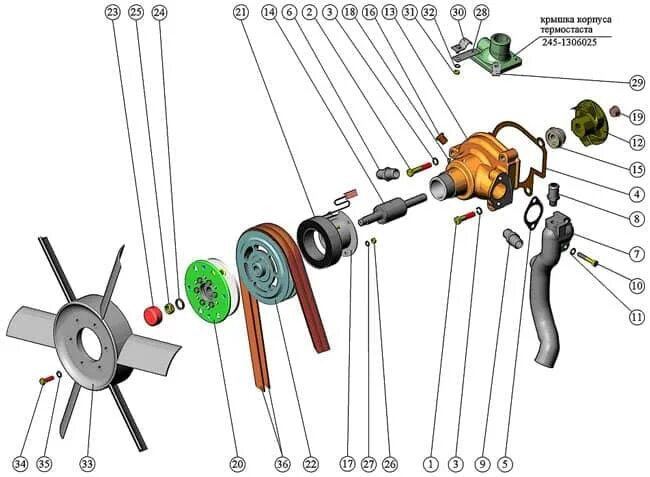 Вентилятор водяного насоса. Водяной насос ММЗ Д-245 евро 4. Насос водяной ГАЗ 3309 Д-245. Помпа ГАЗ 3309 двигатель д-245 евро 3. Крепление вентилятора помпы д-245.