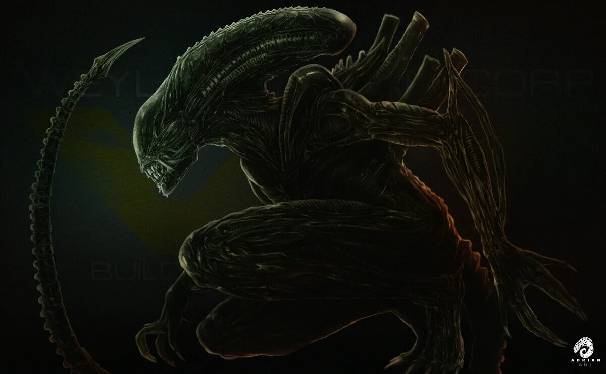 Alien ксеноморф xenomorph. Чужой 1 ксеноморф. Чужой ксеноморф. Чужой 1 ксеноморф. Ивага чужой.