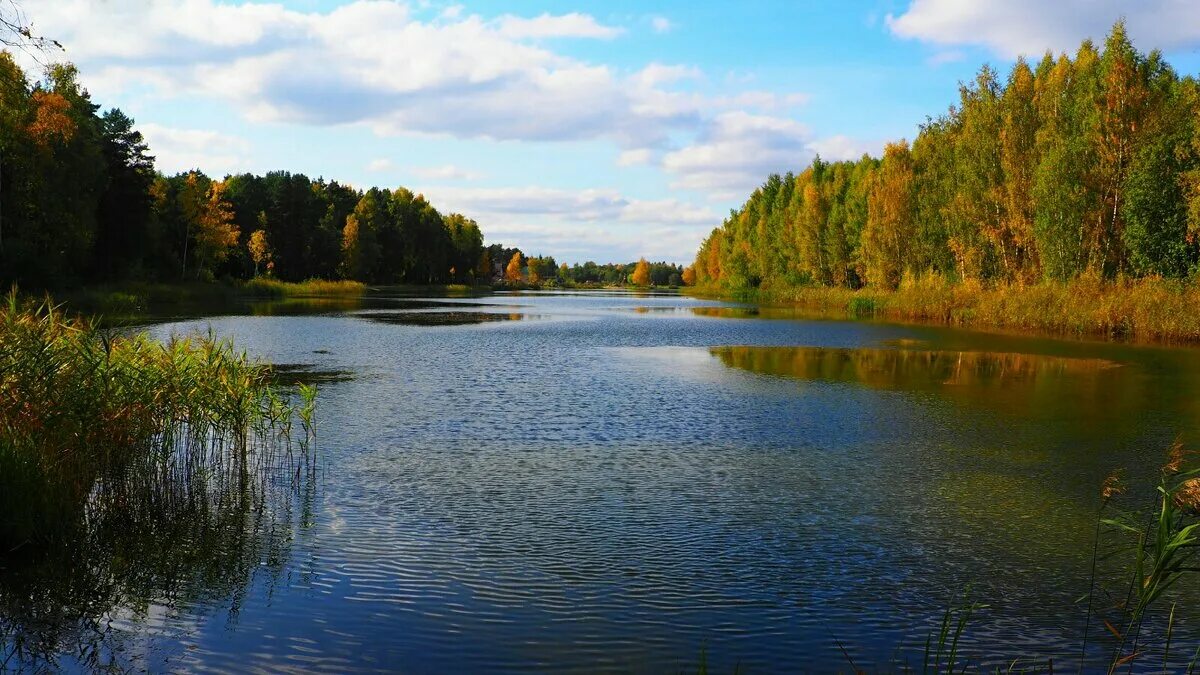 работа смоленщина