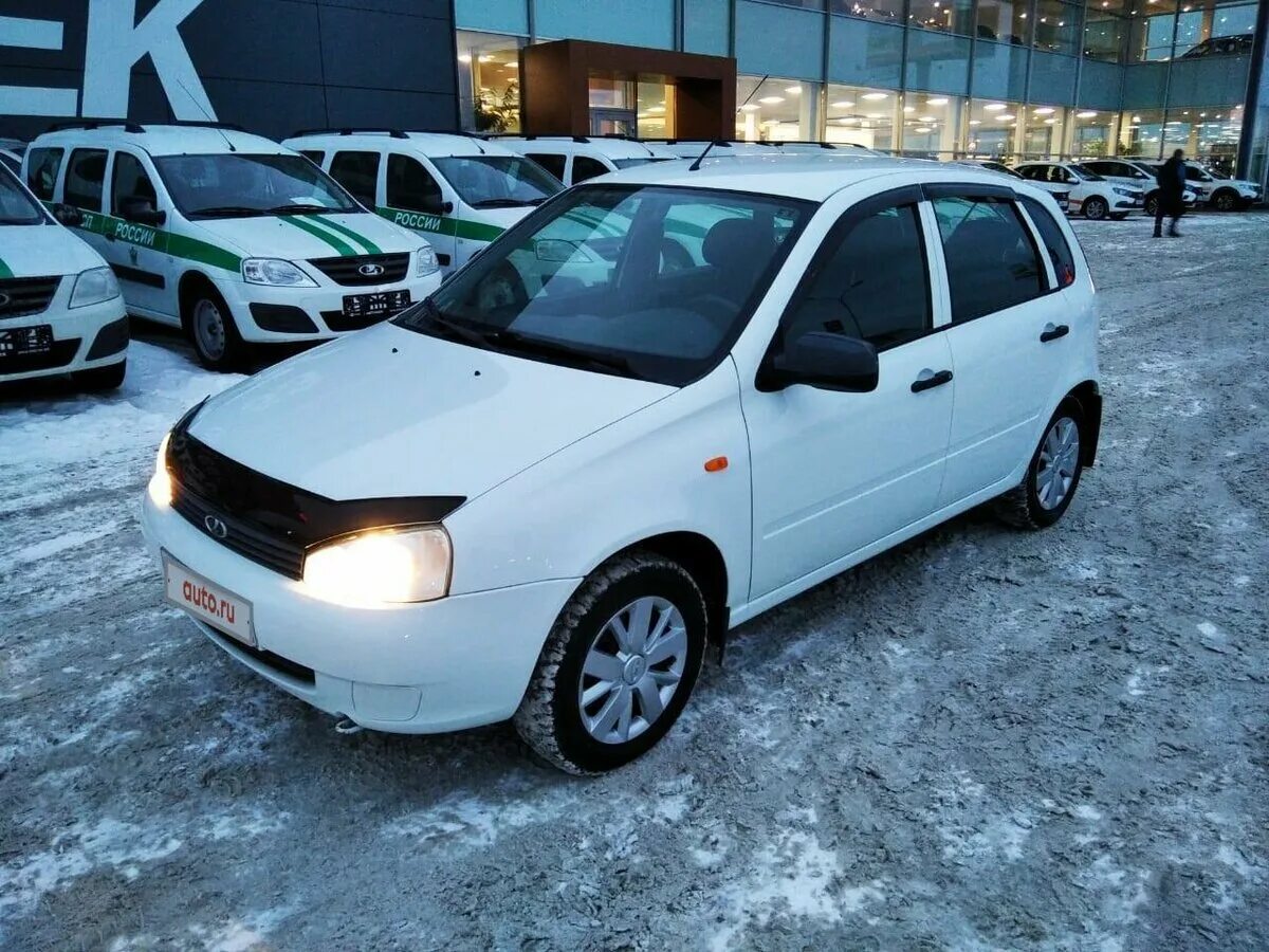 Белый калины цвет