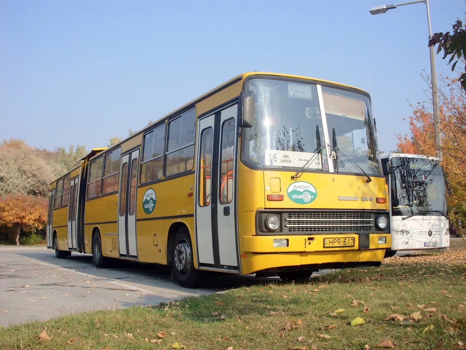 Ikarus 280.64 Венгрия. Икарус 260 Омск. Ikarus 280.01. Икарус 280 Омск.