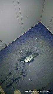 Видео писающих в подъезде