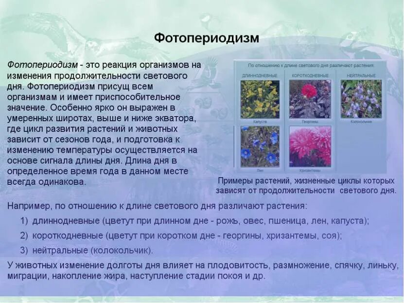 Реакция на изменение длины светового дня