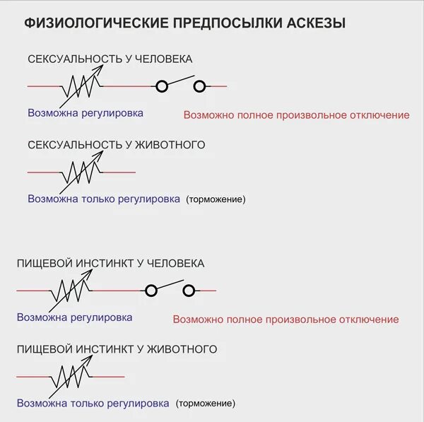 Аскеза как написать на исполнение желания. Аскеза как правильно написать пример. Написать аскезу на исполнение. Аскеза на исполнение желания. Пример аскезы на желание.