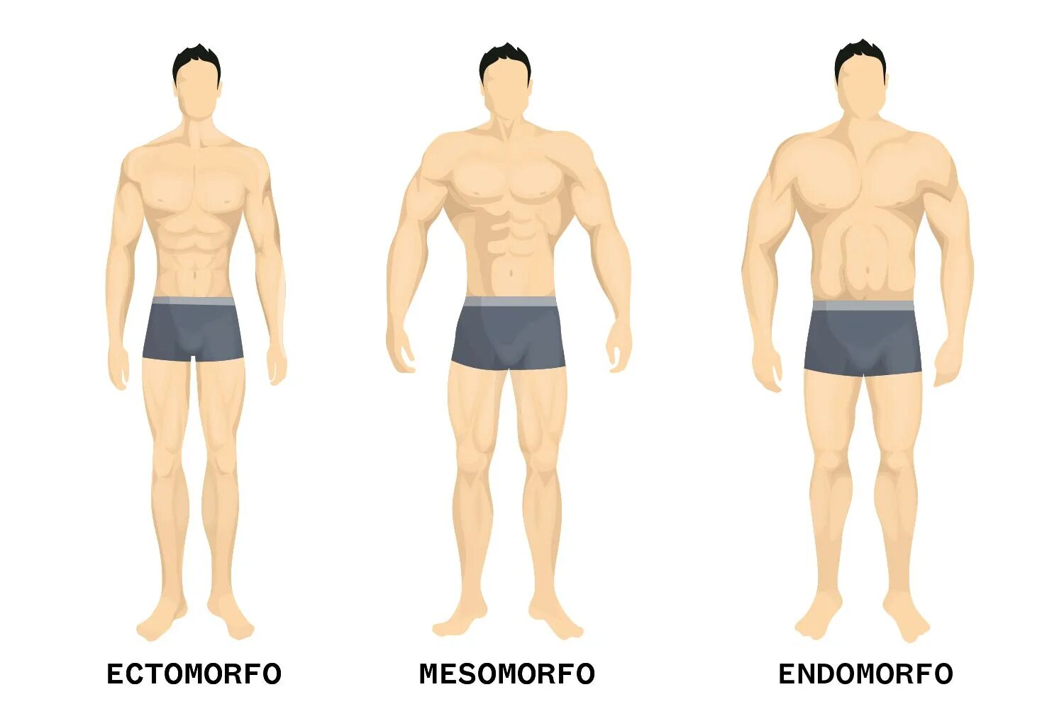 Виды мужской фигуры. Телосложение эктоморф. Эктоморф торс. Эктоморф мезоморф и эндоморф. Кристиан Бейл эктоморф мезаморф.