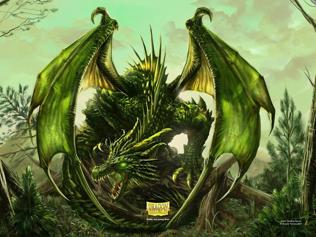Вирмлинг зеленого дракона. Дракон арт. Зеленый дракон сайт. Тини тай драконы. Зелёный дракон.