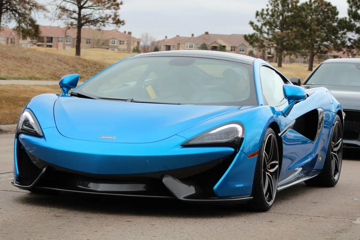 Венценосный голубь птенец. Морозник печеночница. Самый 1 голубой. Самый 1 голубой. Ара спикса попугай.