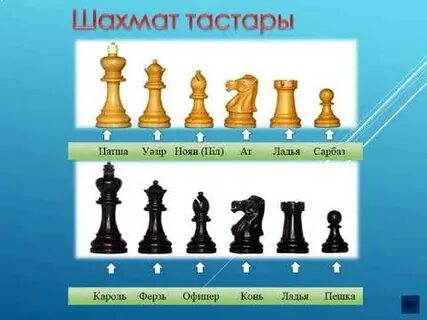 Шахмат секс ойыны