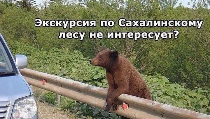 i?id=0e8f38c40bba5362cb95803135c8dc60_l-