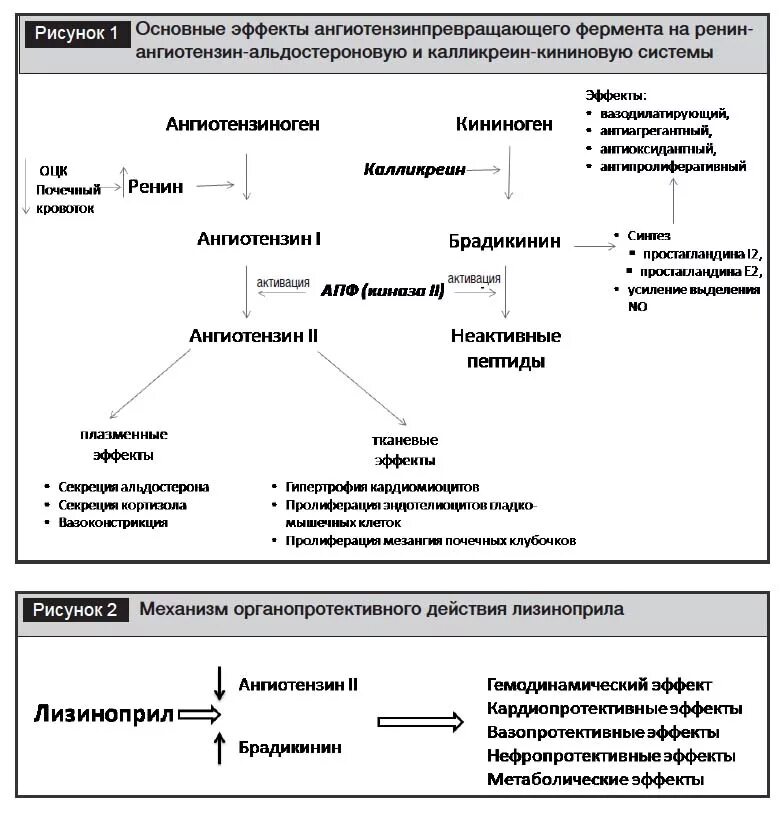 Механизм действия амлодипина. Механизм антиангинального действия амлодипина. Механизм антигипертензивного действия амлодипина. Ингибиторы АПФ Фармакодинамика. Механизм действия лизиноприла.
