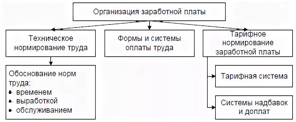 Функции организации заработной платы. Основные элементы организации оплаты труда. организация заработной платы. основным элементам организации оплаты труда на предприятии.
