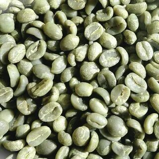 Bean 5 5