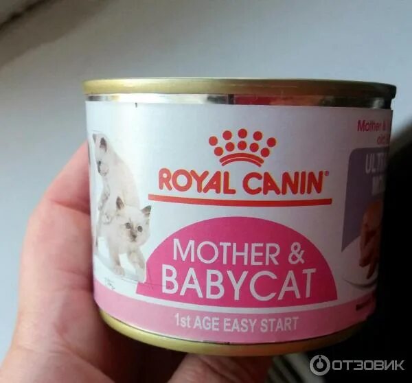 Royal canin babycat. Mother Babycat Royal Canin мусс. Роял mother & Babycat (мусс) для котят. Royal Canin для котят мусс. Консервы для котят Роял Канин mother Babycat.