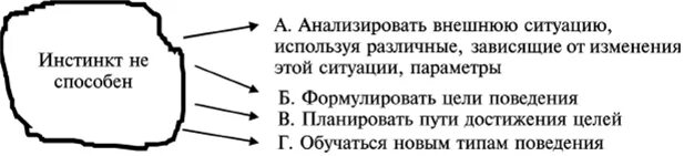 Развитие инстинктов человека. Развитие инстинктов человека