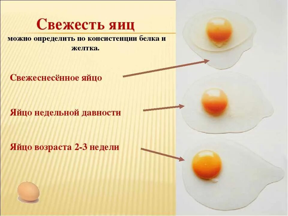 Желток прилагательное. Как определить свежесть куриного яйца. Тест на свежесть яиц в воде. Свежесть сырых яиц. Как определить свежее яйцо.