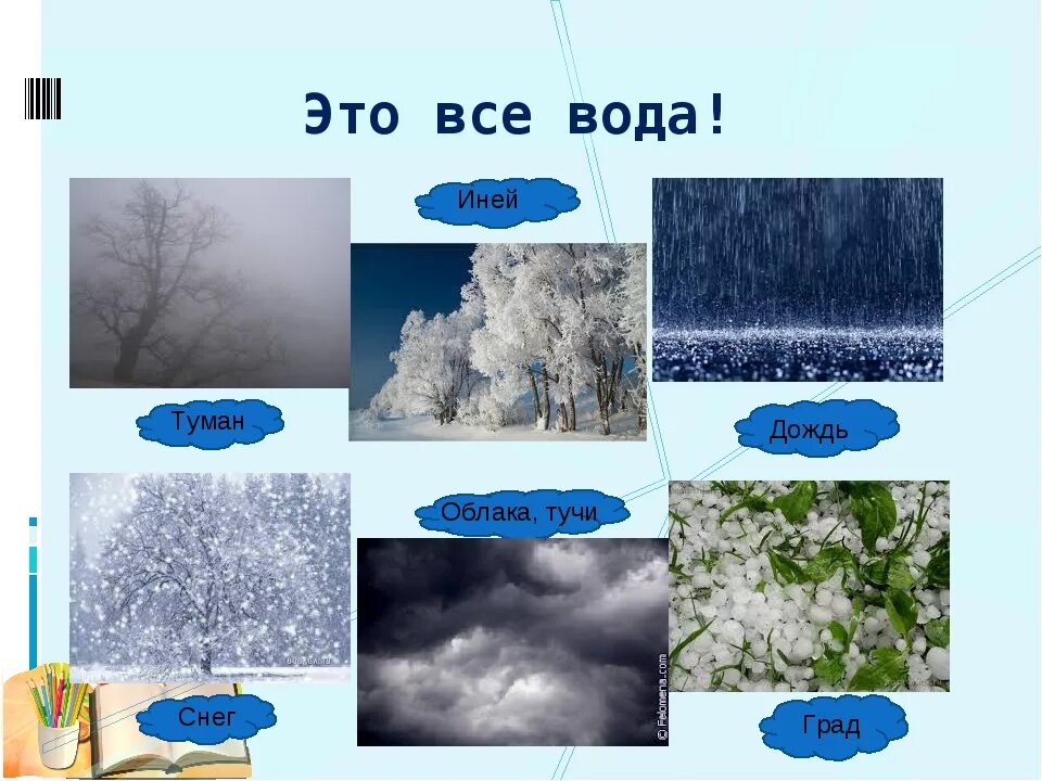 Изморозь это осадки. Иней это осадки. Изображение осадков. Осадки дождь снег. Осадки в виде снега.