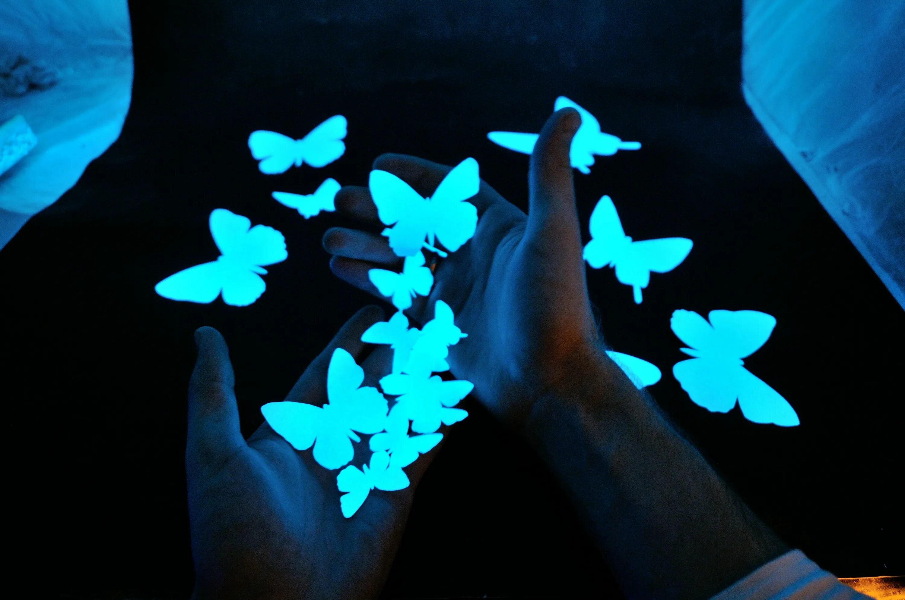 День рождения в темноте. Светящиеся бабочки. Светящиеся бабочки в темноте. Светящиеся цветы в темноте. Светящиеся мотыльки.