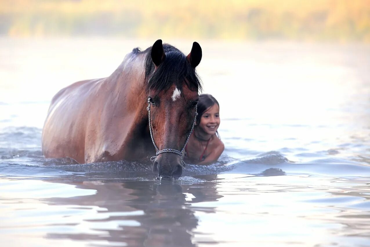 Фотосессия с лошадью в воде. Купание на лошадях. Лошадь у реки. Девушка на лошади в воде. Купание лошадей