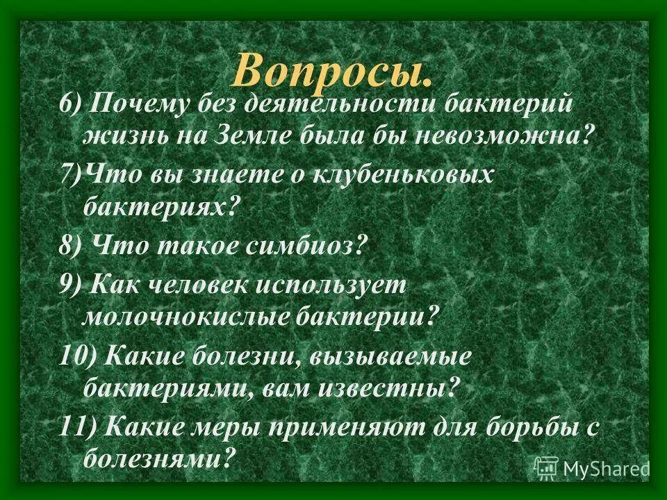 Деятельность бактерий очень разнообразна на земле. Почему жизнь на земле невозможна без бактерий. почему без деятельности бактерий. почему жизнь без бактерий невозможна. почему без деятельности бактерий жизнь на земле.