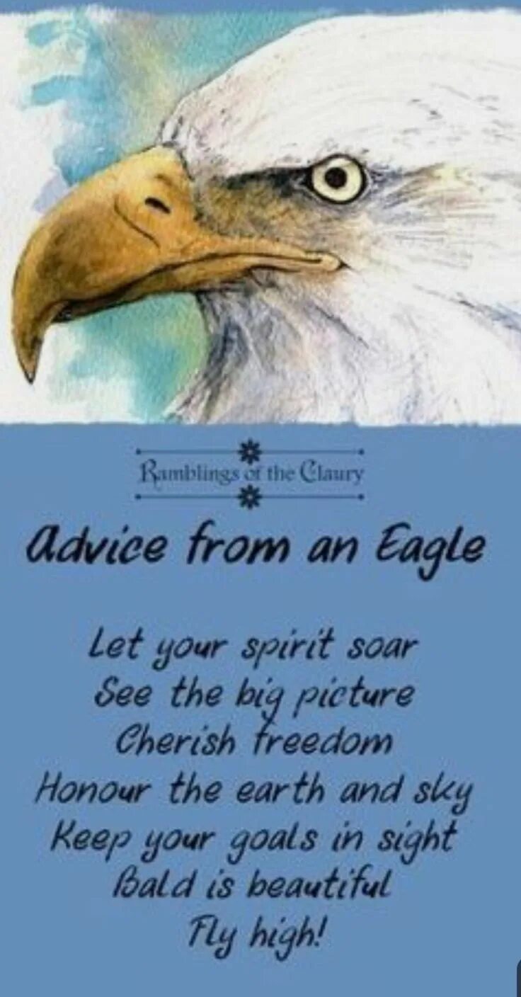 Soaring перевод. Eagle quotes. soar перевод. eagle of medicine.