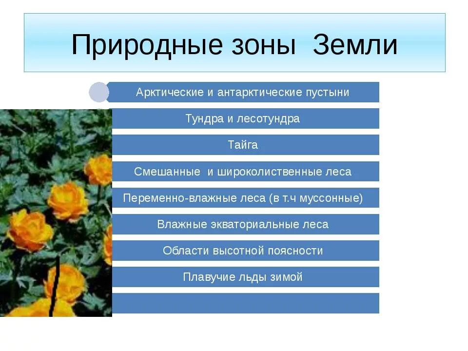 Природные зоны 5 класс презентация. Природные зоны земли. Презентация на тему природные зоны. Природные зоны земли презентация. Природные зоны земли 5 класс.