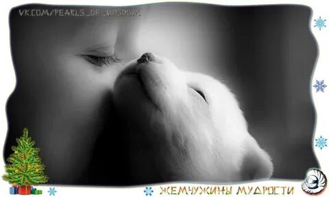 Все тебе к лицу