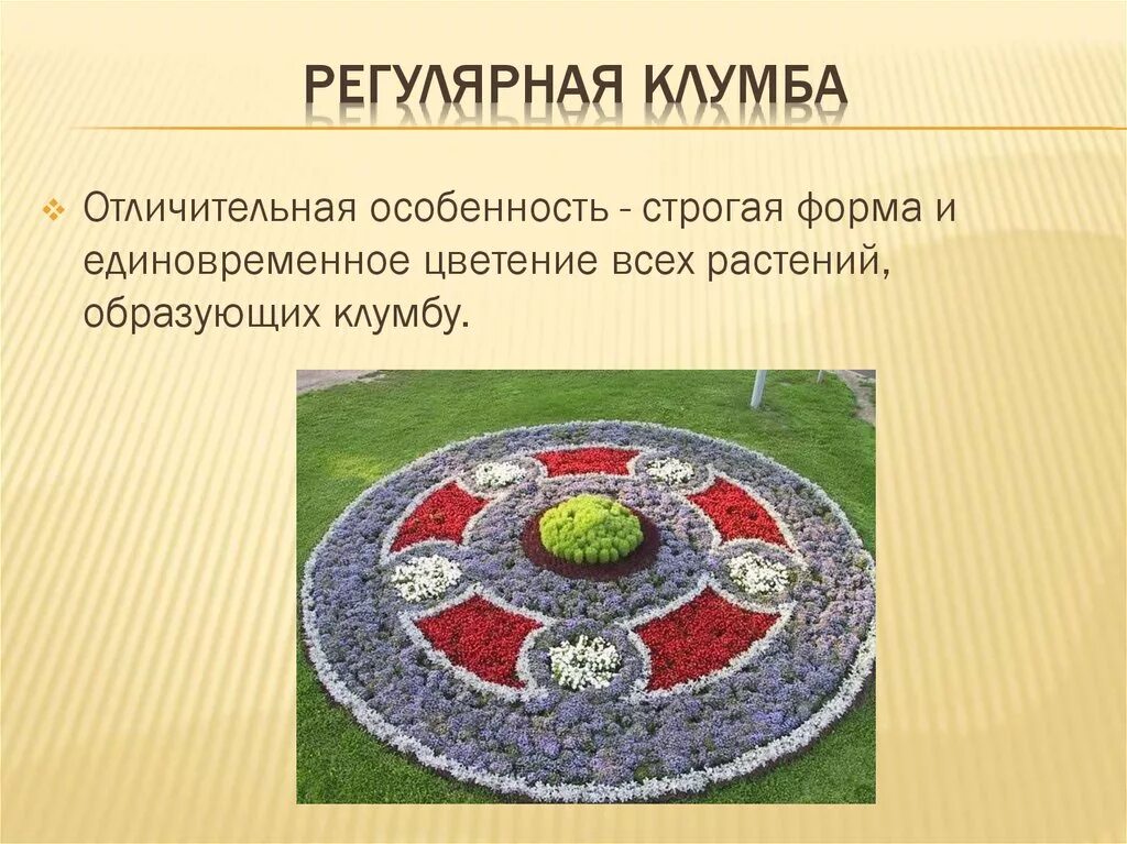 Миксбордер (76 фото): что это такое, схемы посадки многолетников в ландшафтном д