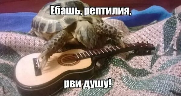 открытки давай бухать. ебашь рви душу. пей давай. давай выпьем. ебашь рви.