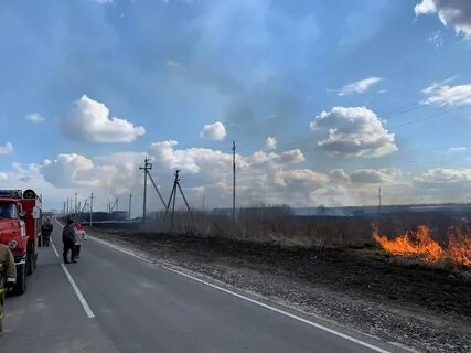 Пал курск