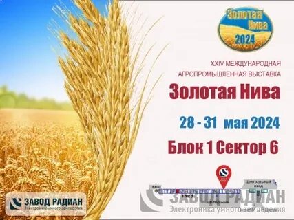 Золотая нива даты