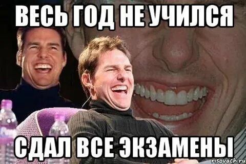Экзамены все сданы оценки получены