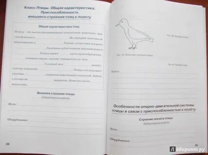 Биология 7 класс бодрова
